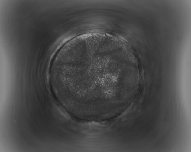 X0000083050290200703022117