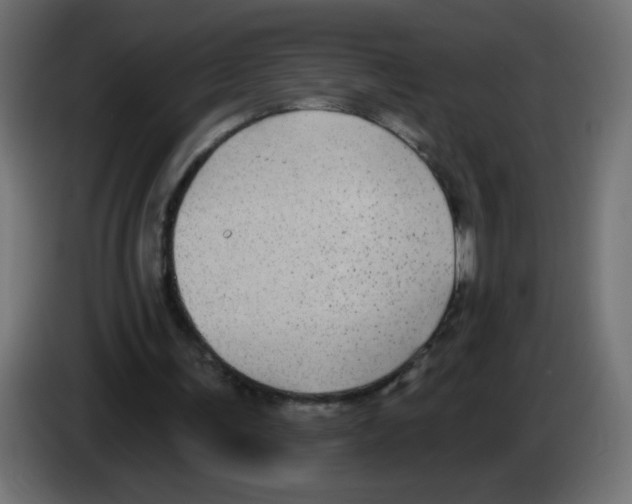 X0000083050291200703022117