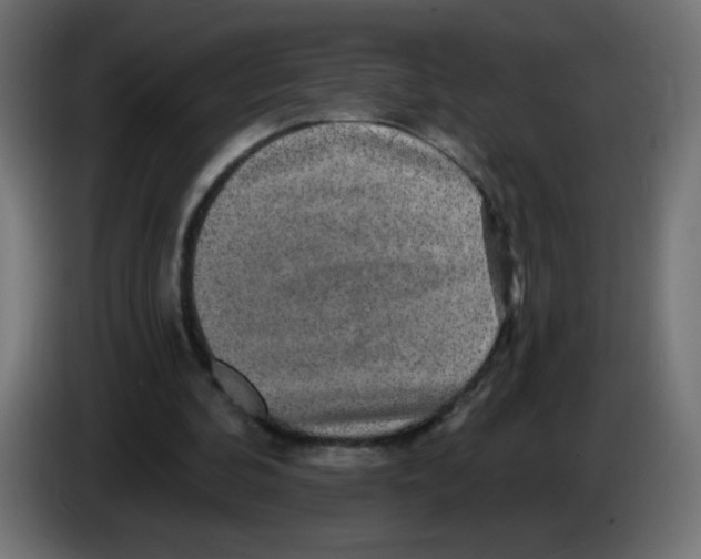 X0000083050292200703022117