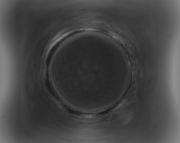 X0000083050295200703022117