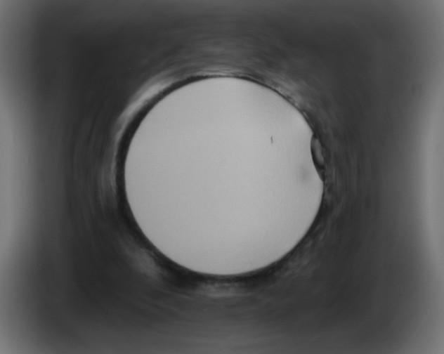 X0000083050296200703022117