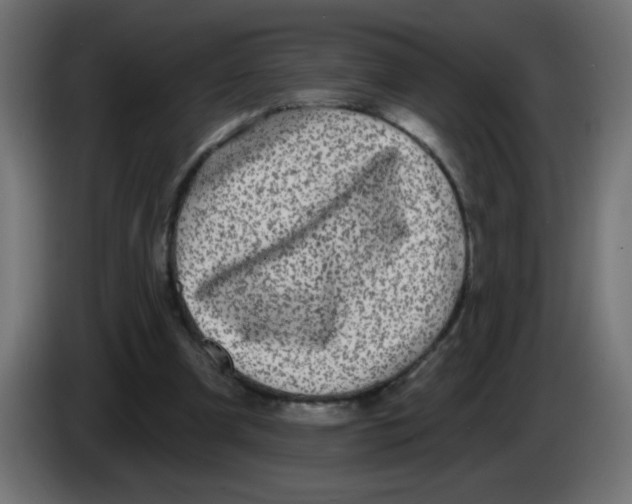 X0000083050297200703022117