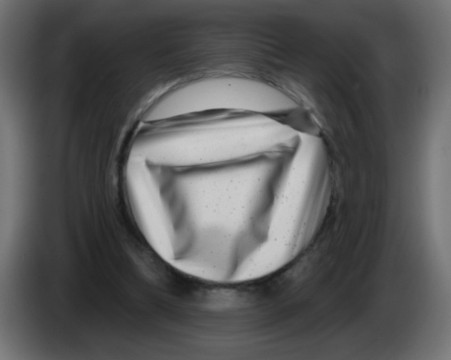 X0000083050298200703022117