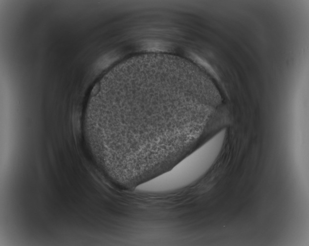 X0000083050299200703022117