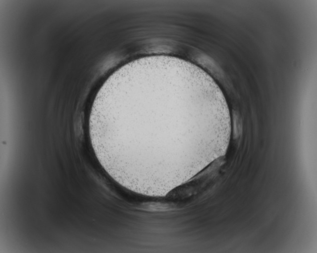 X0000083050300200703022117