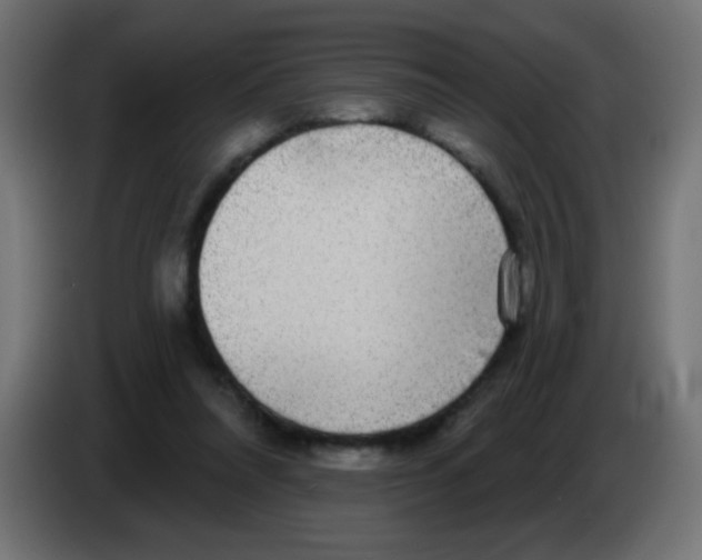 X0000083050304200703022117