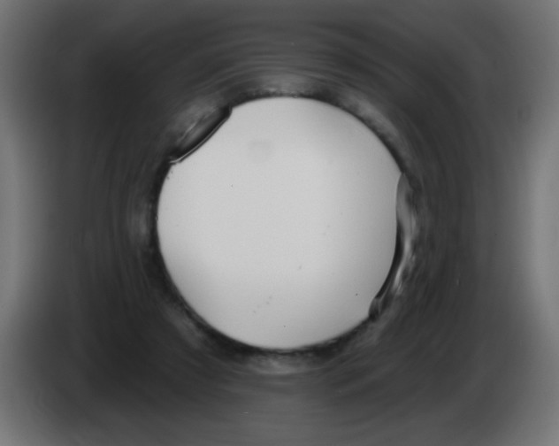 X0000083050305200703022117