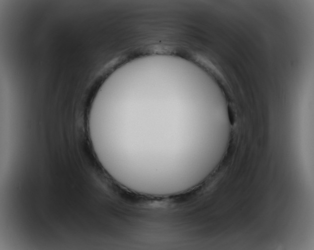 X0000083050306200703022117