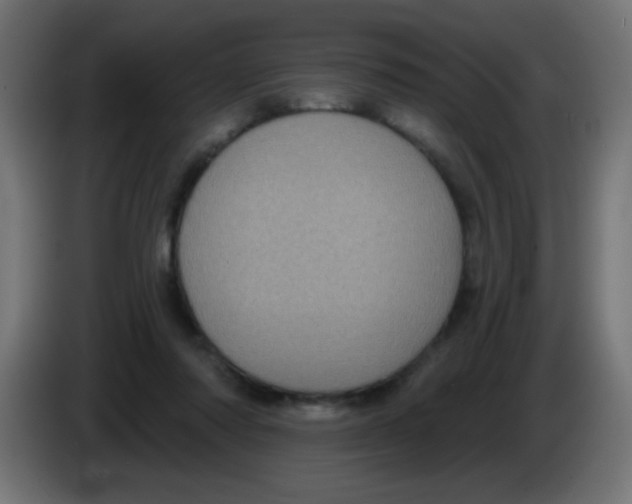 X0000083050310200703022117