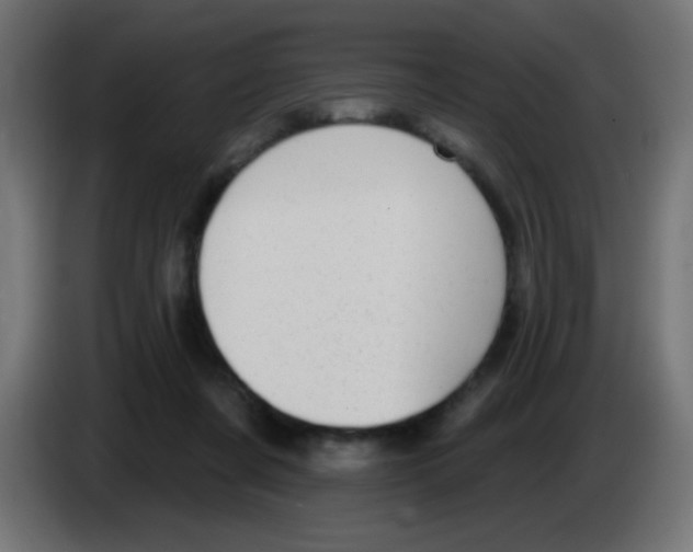 X0000083050311200703022116