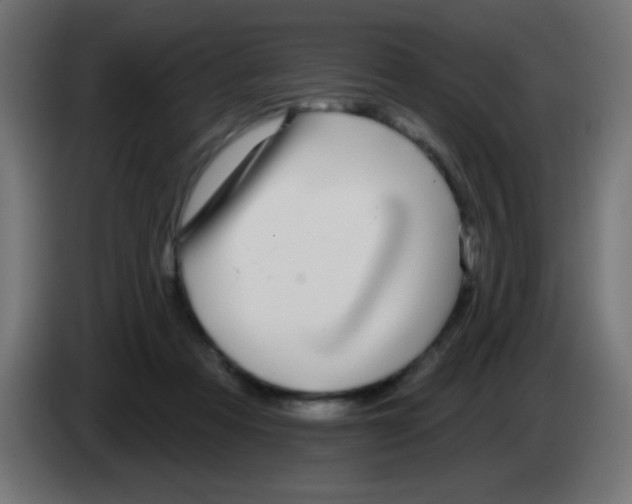 X0000083050313200703022116