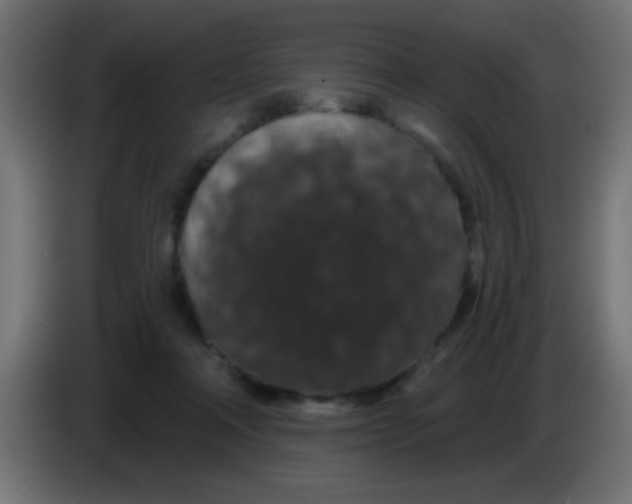 X0000083050314200703022116