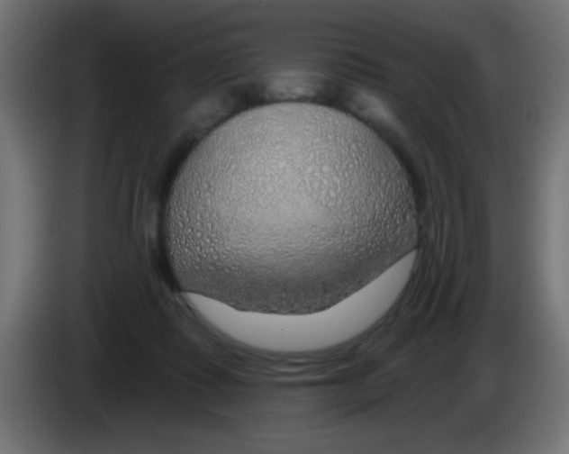 X0000083050315200703022116