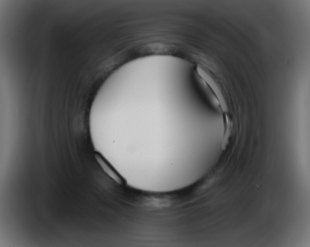 X0000083050317200703022116