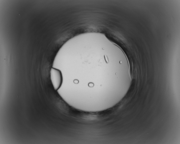 X0000083050318200703022116