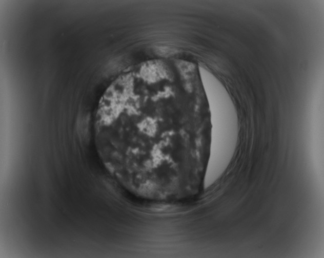 X0000083050319200703022116