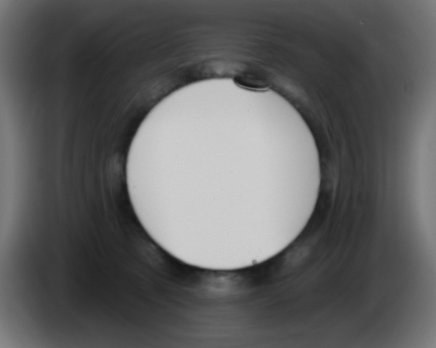 X0000083050321200703022116