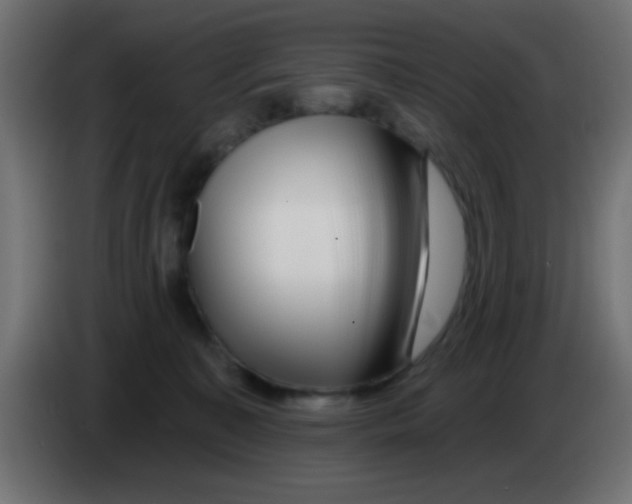 X0000083050323200703022116