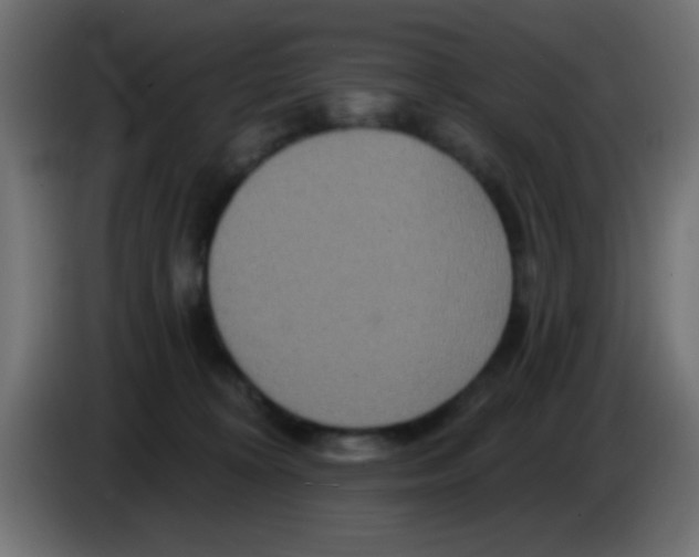 X0000083050324200703022116