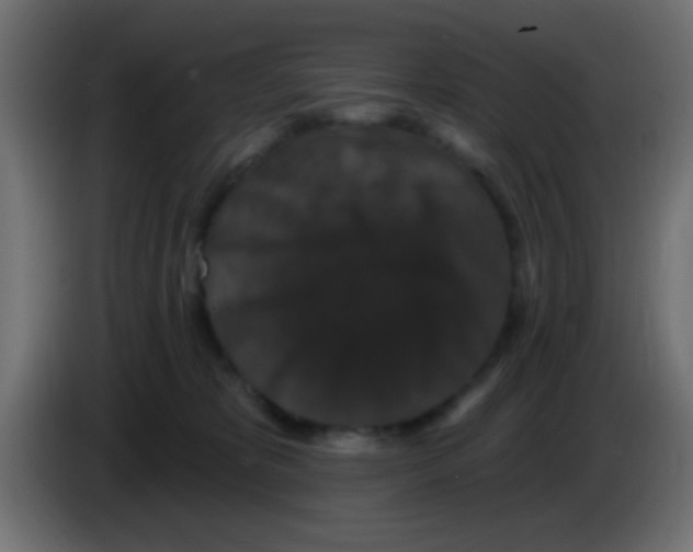 X0000083050325200703022116