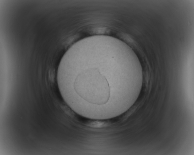 X0000083050326200703022116