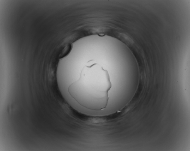 X0000083050327200703022116