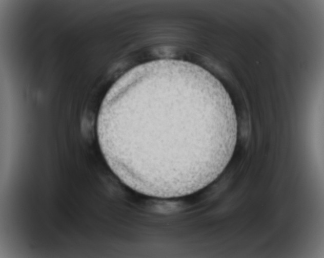 X0000083050332200703022116