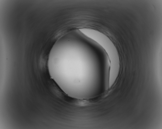 X0000083050333200703022116