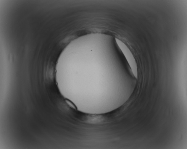 X0000083050334200703022116