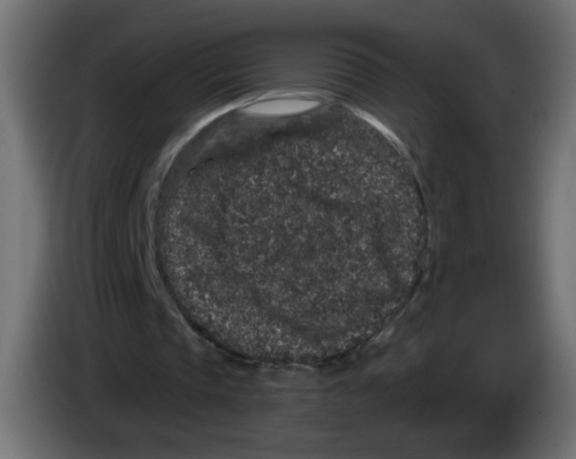 X0000083050337200703022115