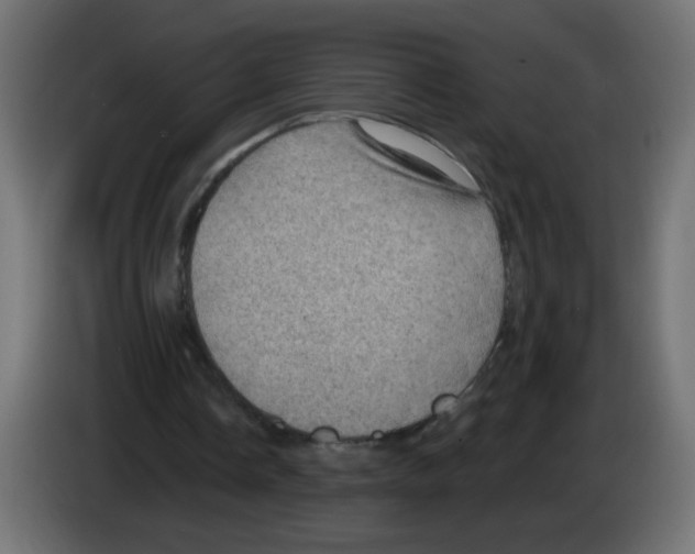 X0000083050338200703022115