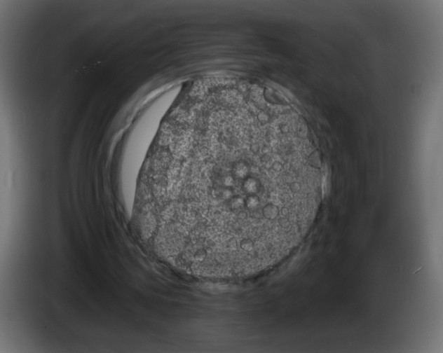 X0000083050339200703022115