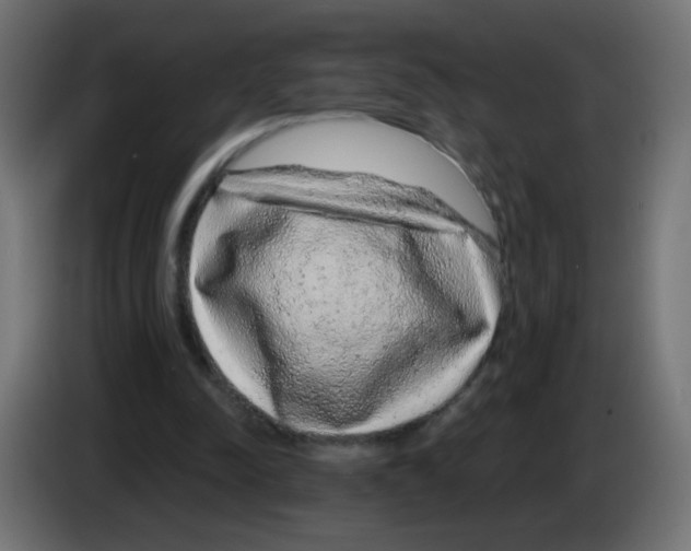 X0000083050342200703022116