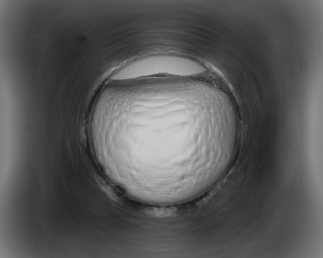 X0000083050345200703022116