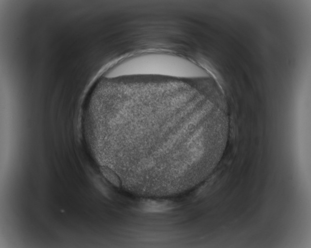 X0000083050346200703022116