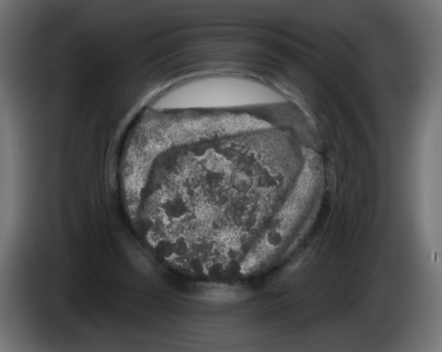 X0000083050347200703022116