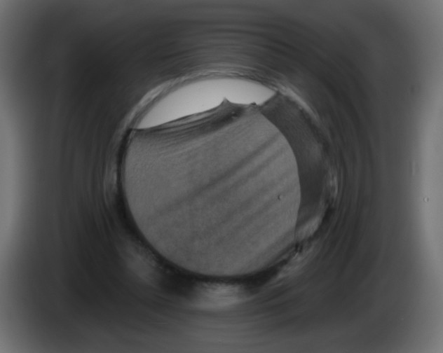 X0000083050348200703022116