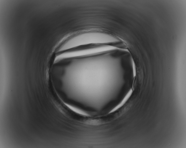 X0000083050350200703022116