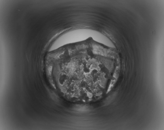 X0000083050351200703022116