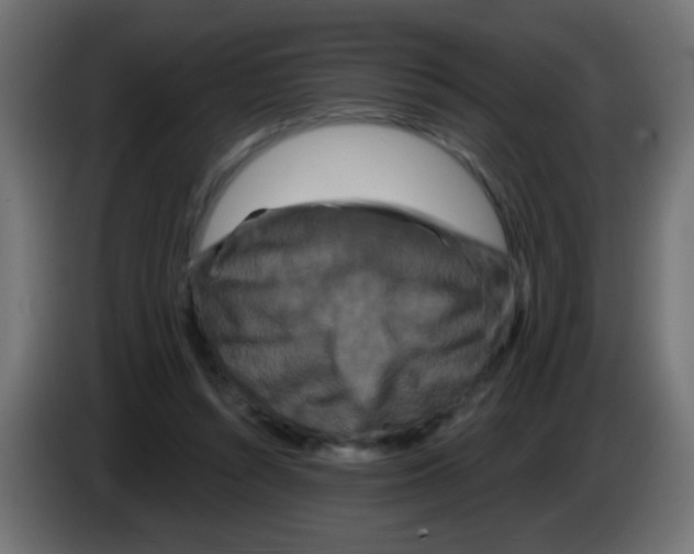 X0000083050352200703022116