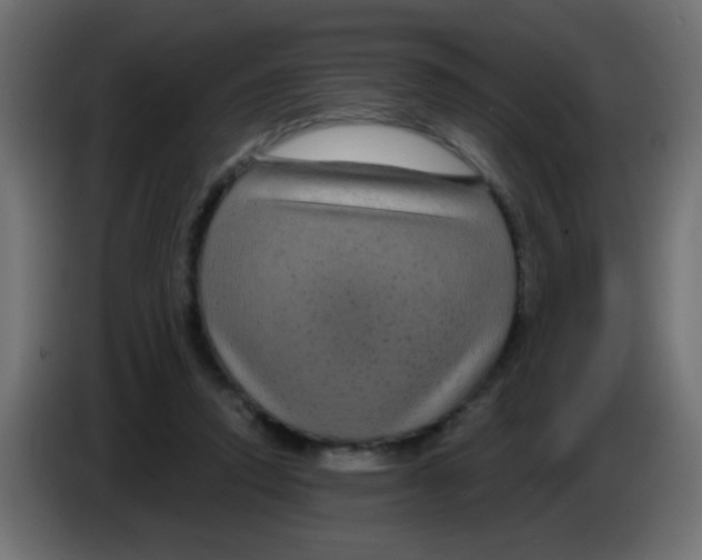 X0000083050354200703022116