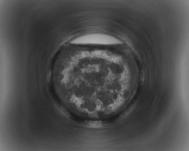 X0000083050355200703022116