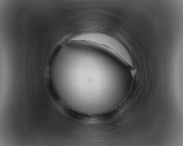 X0000083050356200703022116