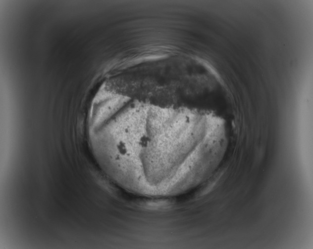 X0000083050357200703022116