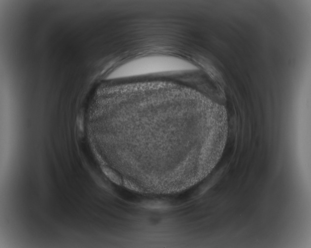 X0000083050358200703022116