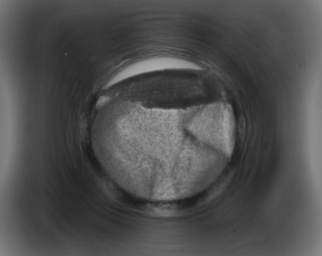 X0000083050359200703022116