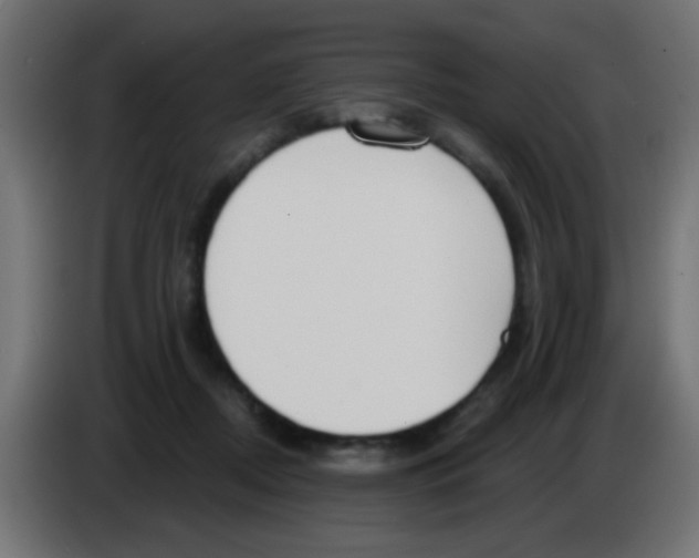 X0000083050362200703022116