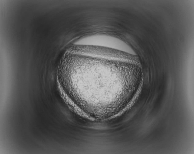 X0000083050363200703022116