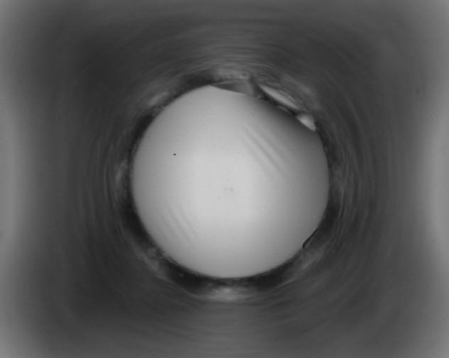 X0000083050364200703022116