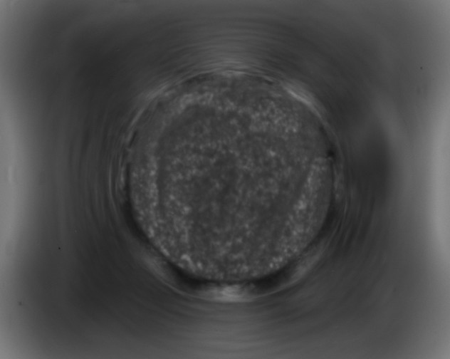 X0000083050365200703022116